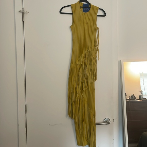 Simon Miller Maxi Fringe Dress in Green - Picture 3 of 6